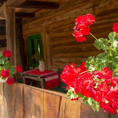 Casa Marie-jose Holiday home